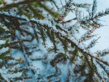 6 лютого – яке сьогодні свято, прикмети та що не можна робити  