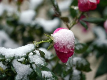 20 грудня – яке сьогодні свято, прикмети і заборони 