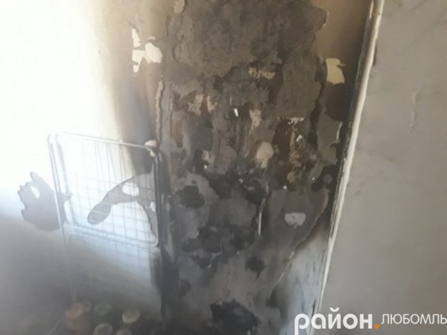 У селі на Волині горіли два хліви. ФОТО