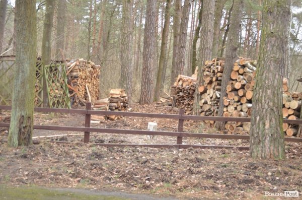 «Межигір'я» по-волинськи: екскурсія лісовими маєтками
