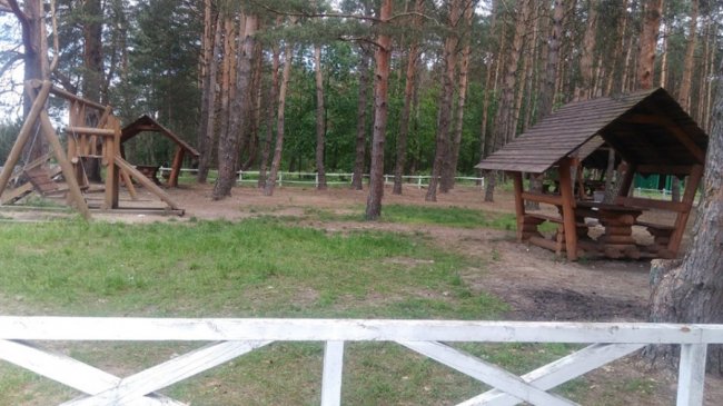 Відреагували миттєво: волинські лісівники прибрали рекреаційну зону, яку загидили відпочивальники