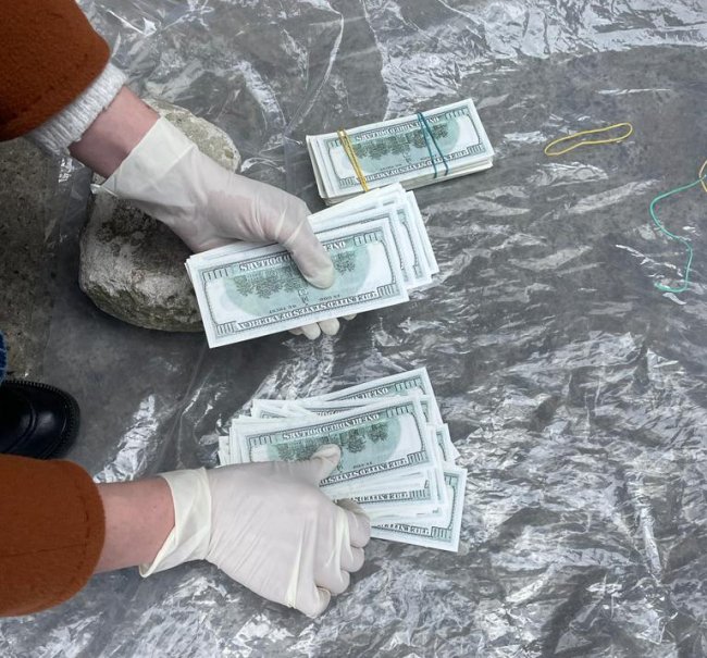  26-річна волинянка продала дитину за 30 тисяч доларів США. ФОТО