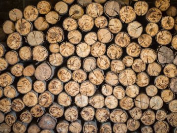 Волинянин, який продавав неіснуючі дрова, відсидить за ґратами 4 роки
