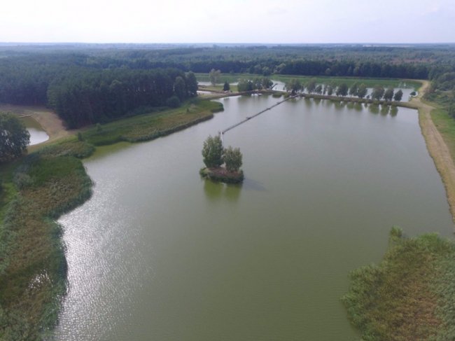 Любомльські ставки з висоти пташиного польоту