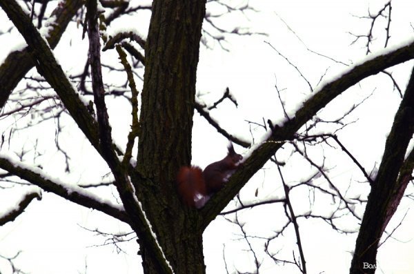 Фотопогляд: проспект Молоді 