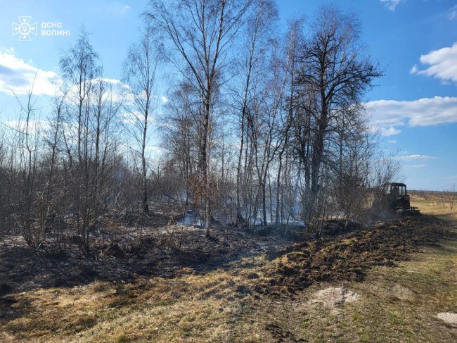 Горіло 14 га сухої трави: на Волині пожежі гасили рятувальники, лісники та селяни