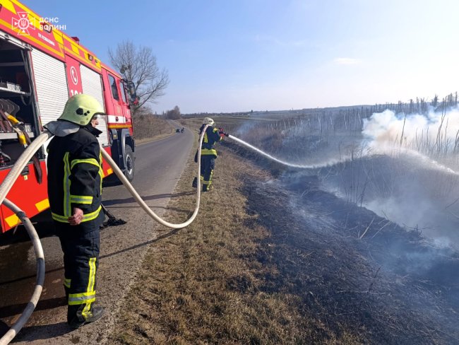 Горіло 14 га сухої трави: на Волині пожежі гасили рятувальники, лісники та селяни