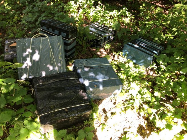 Луцькі прикордонники в лісі знайшли чималу партію сигарет