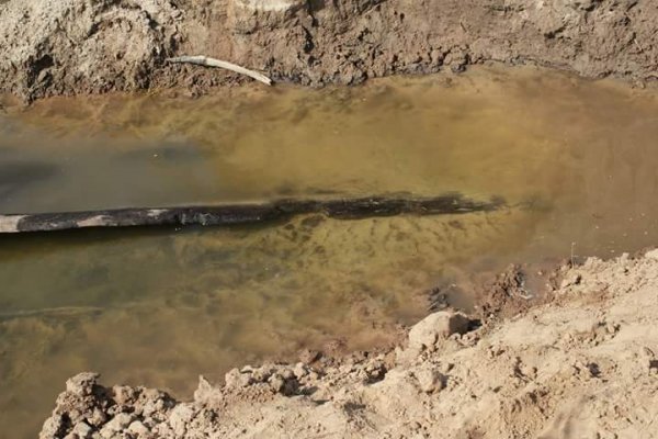 На Волині знайшли стародавню знахідку. ФОТО