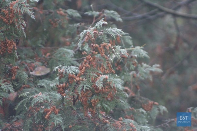 Атмосферні світлини морозного ранку у волинському місті. ФОТО