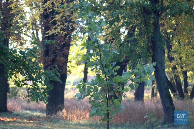 Атмосферні світлини морозного ранку у волинському місті. ФОТО