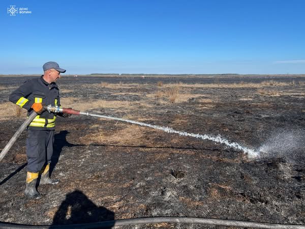 На Волині горіло торфовище площею 8 гектарів. ФОТО