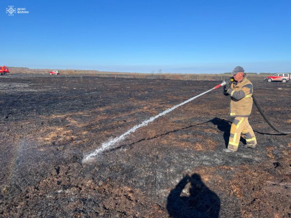 На Волині горіло торфовище площею 8 гектарів. ФОТО