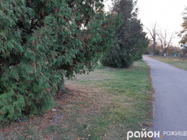 Місто на Волині восени: жовто-багряна краса. ФОТО