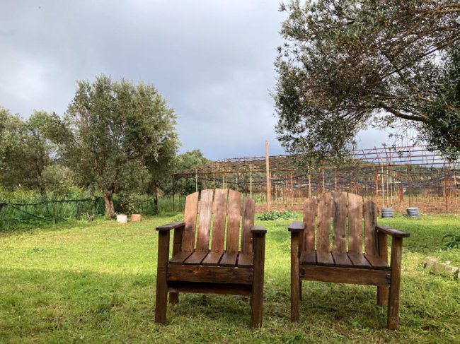 Як вибрати ідеальні садові подушки для стільців і шезлонгів