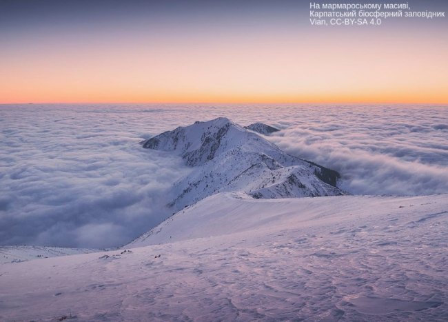 Мармароський масив, Карпатський біосферний заповідник