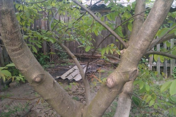 У райцентрі жителі багатоповерхівки викопали під вікнами вигрібну яму. ФОТО