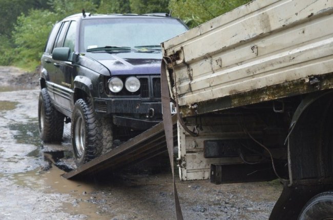 На Волині лісівники завадили зловмисникам вкрасти цінну деревину. ФОТО