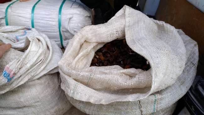 На трасі «Київ-Ковель-Ягодин» затримали авто з бурштином на пів мільйона