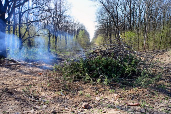 Єднання, праця та куліш: у селі під Луцьком організували толоку. ФОТО
