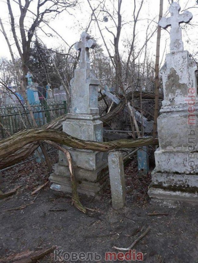 На Волині на кладовищі сильний вітер повалив дерева на пам'ятники. ФОТО. ВІДЕО