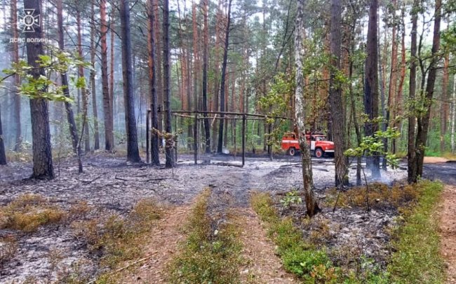 На Волині горів ліс