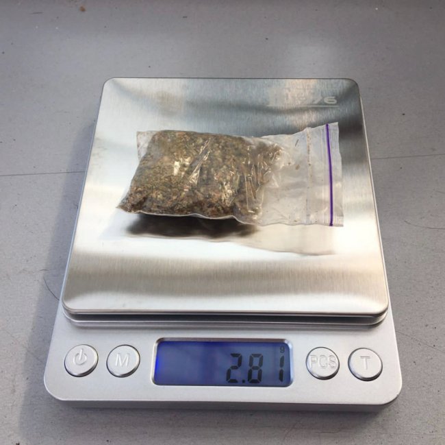 Сховав під номерним знаком авто: через волинський кордон чоловік намагався провезти канабіс. ФОТО