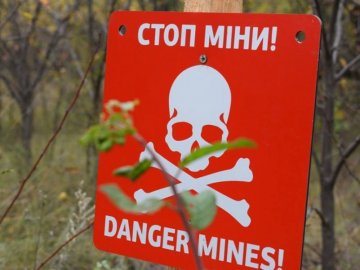 Частина територій – замінована: волинянам нагадали, де не можна збирати гриби