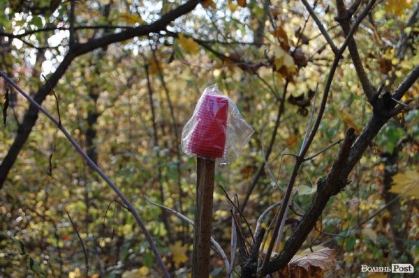 Парк у Луцьку: осіння краса і людська байдужість. ФОТО