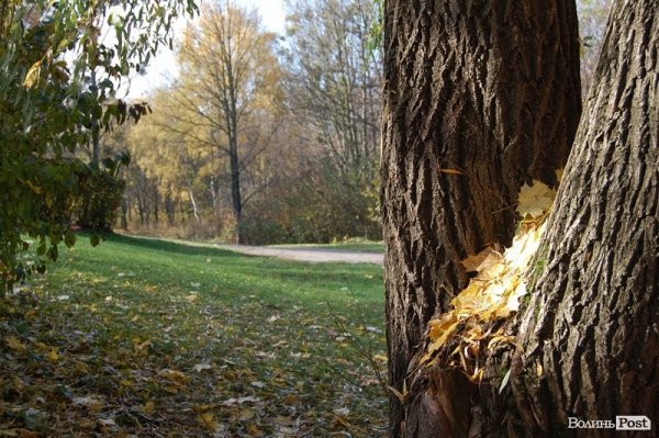 Парк у Луцьку: осіння краса і людська байдужість. ФОТО