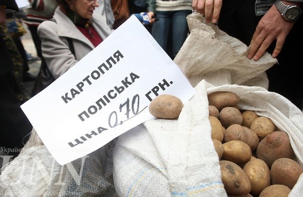 Поліські фермери влаштували в Києві «картопляний протест». ФОТО. ВІДЕО