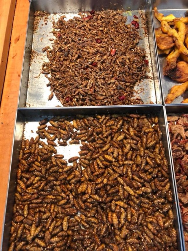 Жуки-хробаки. Кожен непоганий супермаркет в Азії повинен мати в асортименті живих жаб/смажених комах/столітні яйця. Жартую. Але в кожному жарті...