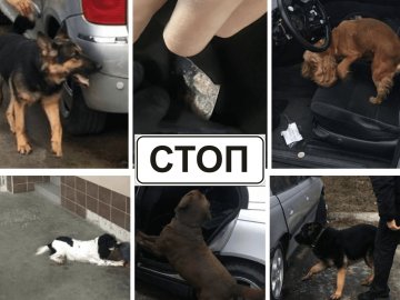 Через «Устилуг»  22-річна дівчина намагалась провезти наркотики