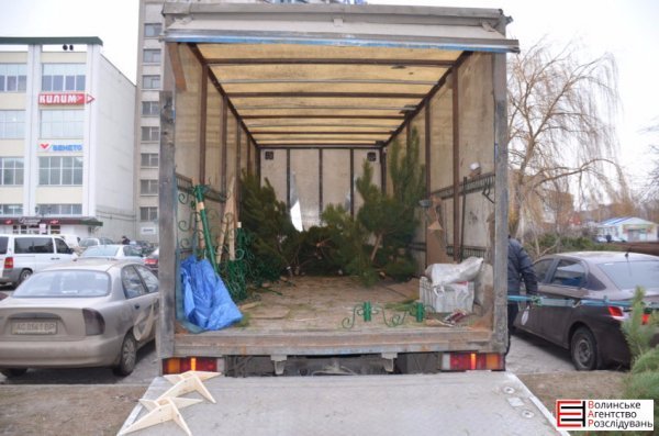 Ялинковий бізнес по-луцьки: ціни, дозволи, чіпи