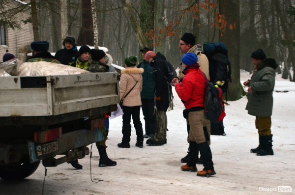 Як у «Цуманській пущі» рахували зубрів 