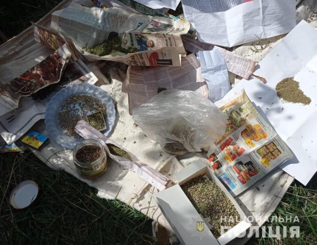 Волинянин вирощував вдома коноплі та мак. ФОТО