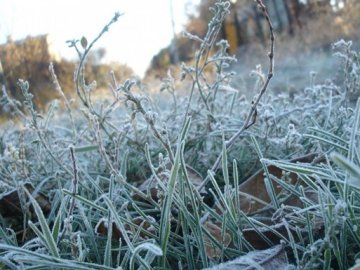 Через заморозки на Волині оголосили «жовтий» рівень небезпеки