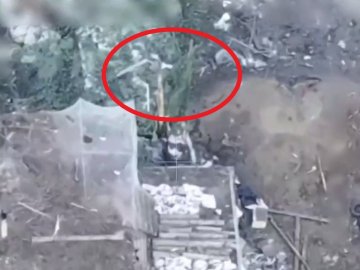 Опублікували відео, як у Білгородській області російська армія підняла білий прапор