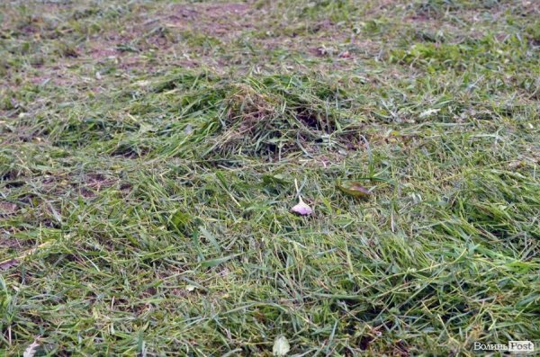 Пляж у Луцьку до купального сезону поки не готовий. ФОТО