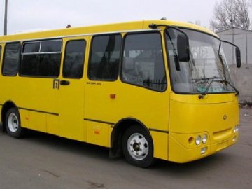 У Луцьку люди майже годину чекали «вишківську» маршрутку  