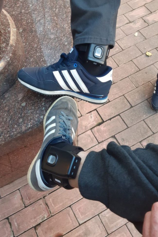 Волинських братів-комуністів Кононовичів відпустили з СІЗО під домашній арешт