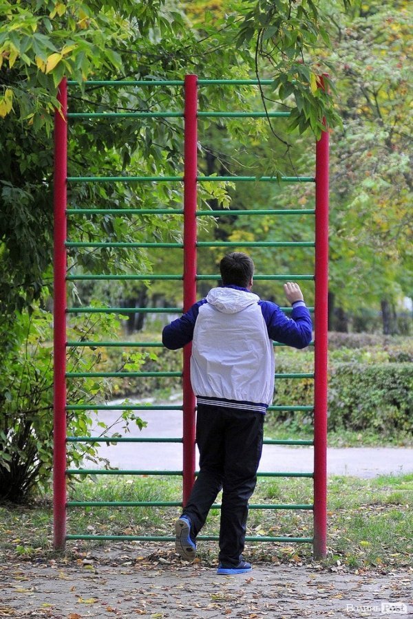 Луцьк. Ранок. Парк. Лучани. ФОТО