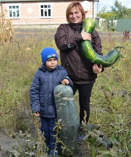 Волинянка на городі вирощує кабачки-велетні. ФОТО