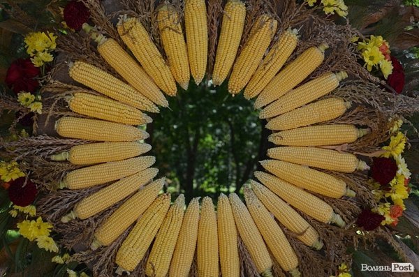 Луцька міська поліклініка №1