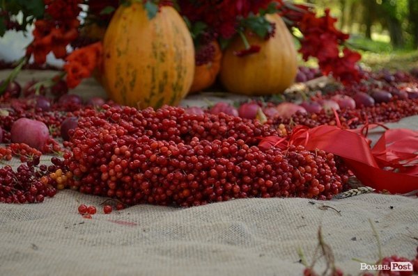 Свято квітів у Луцьку. ФОТО