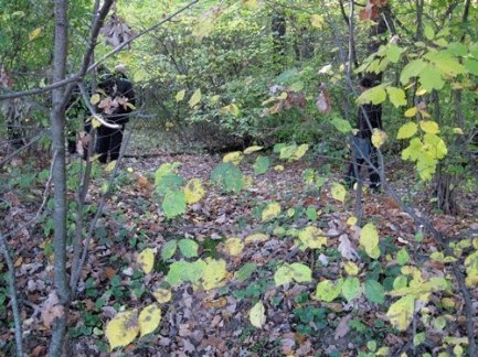 Чоловік вбив жінку і лишив її тіло в лісі. ФОТО