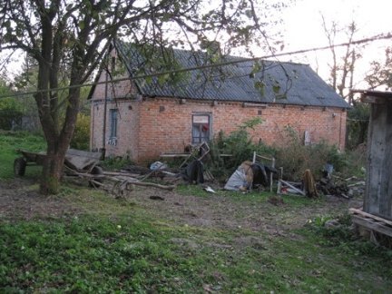 Чоловік вбив жінку і лишив її тіло в лісі. ФОТО