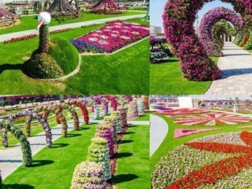 Неймовірної краси кольоровий диво-сад. ФОТО
