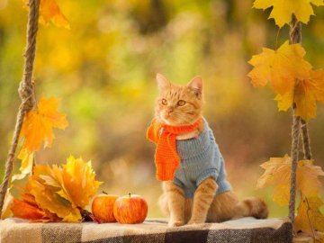 В Україну знову йде потепління