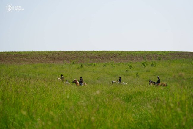 Волинські піротехніки відновлювалися іпотерапією. ФОТО